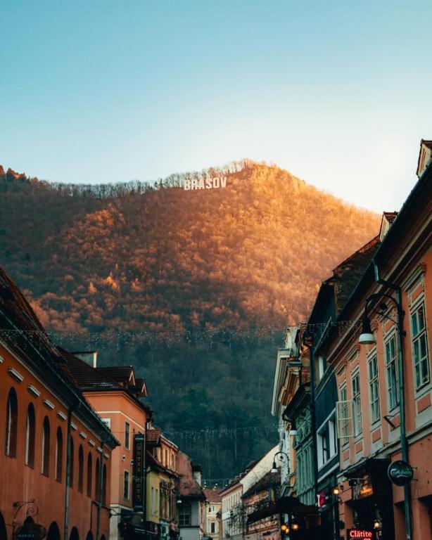 Coresi, 2 Camere, Sleeps 6 Large Private Garden Apartment Pets Welcome Brasov Luaran gambar