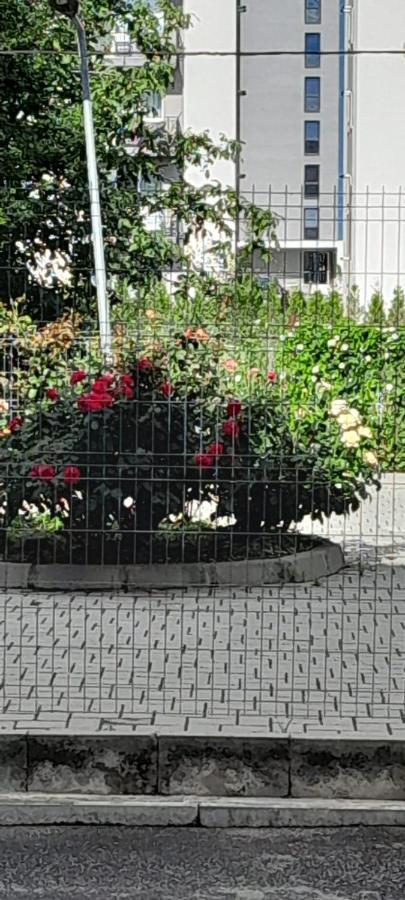 Coresi, 2 Camere, Sleeps 6 Large Private Garden Apartment Pets Welcome Brasov Luaran gambar