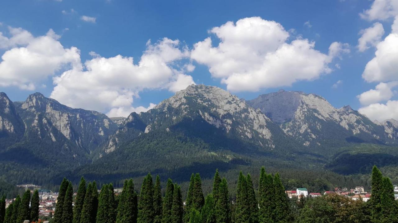 Coresi, 2 Camere, Sleeps 6 Large Private Garden Apartment Pets Welcome Brasov Luaran gambar